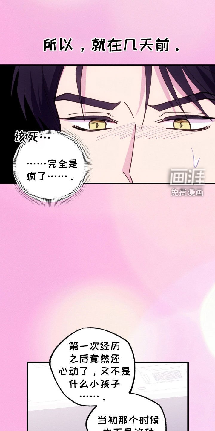 第49章：寻找