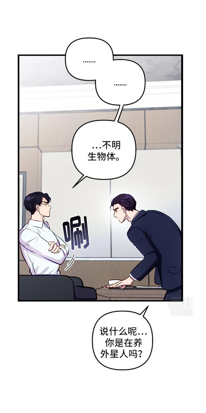 第5章：伤脑筋的东西