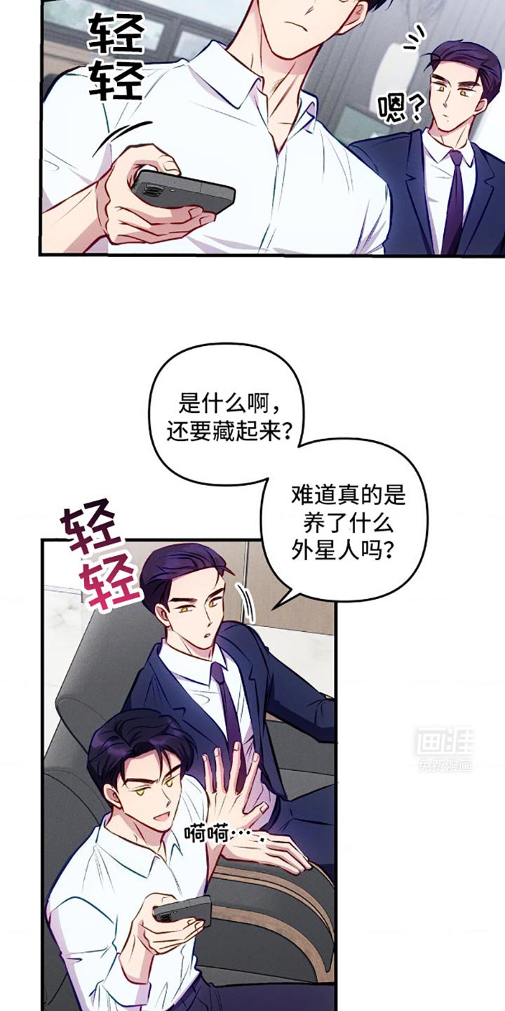 第5章：伤脑筋的东西