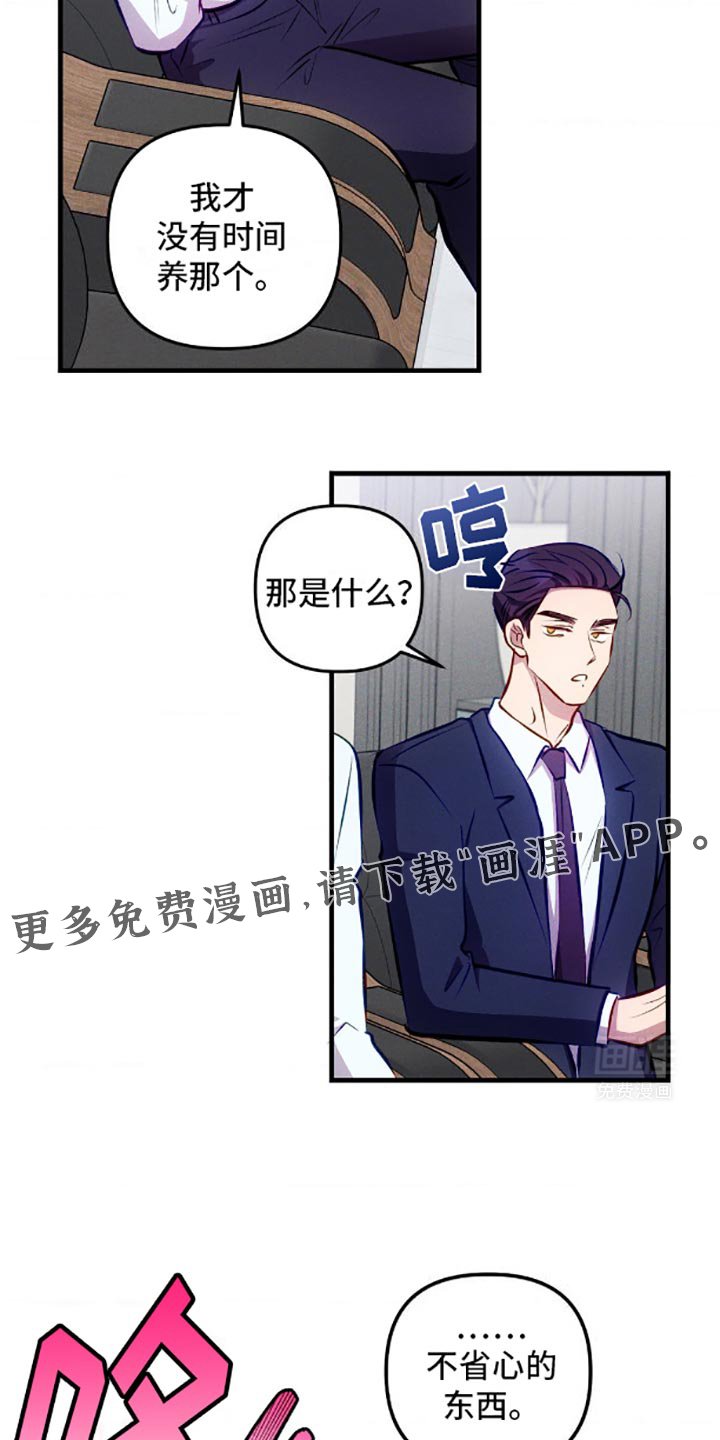 第5章：伤脑筋的东西
