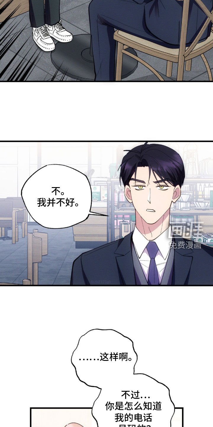 第50章：坦白