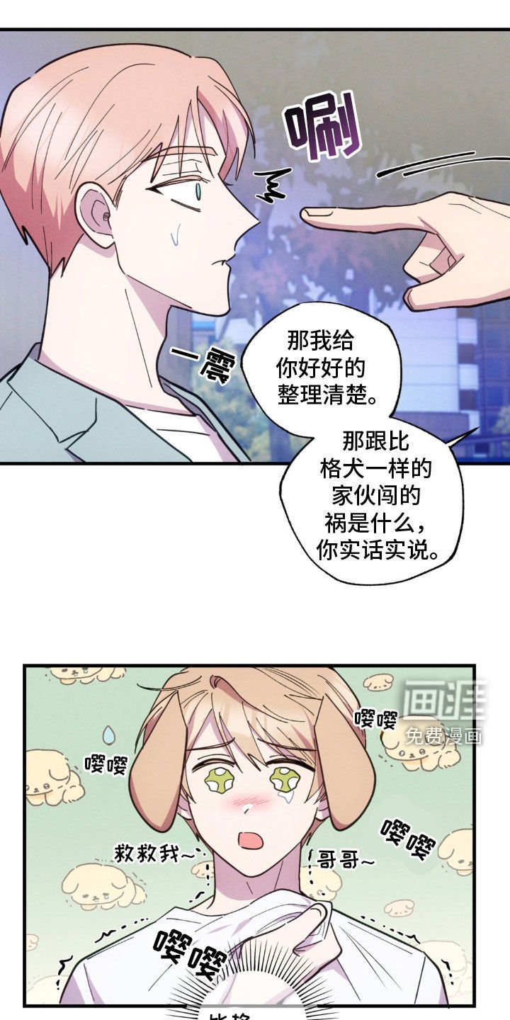 第50章：坦白