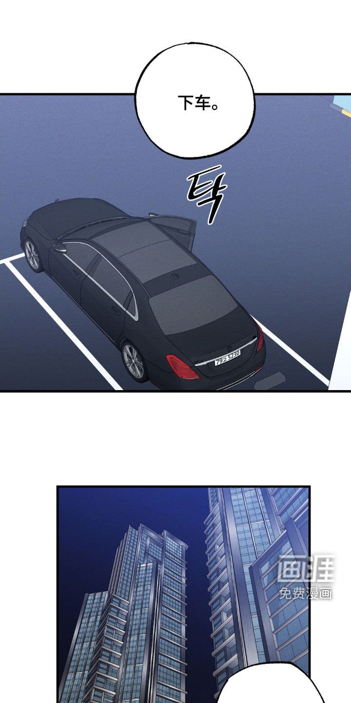 第54章：【第二季】一见钟情