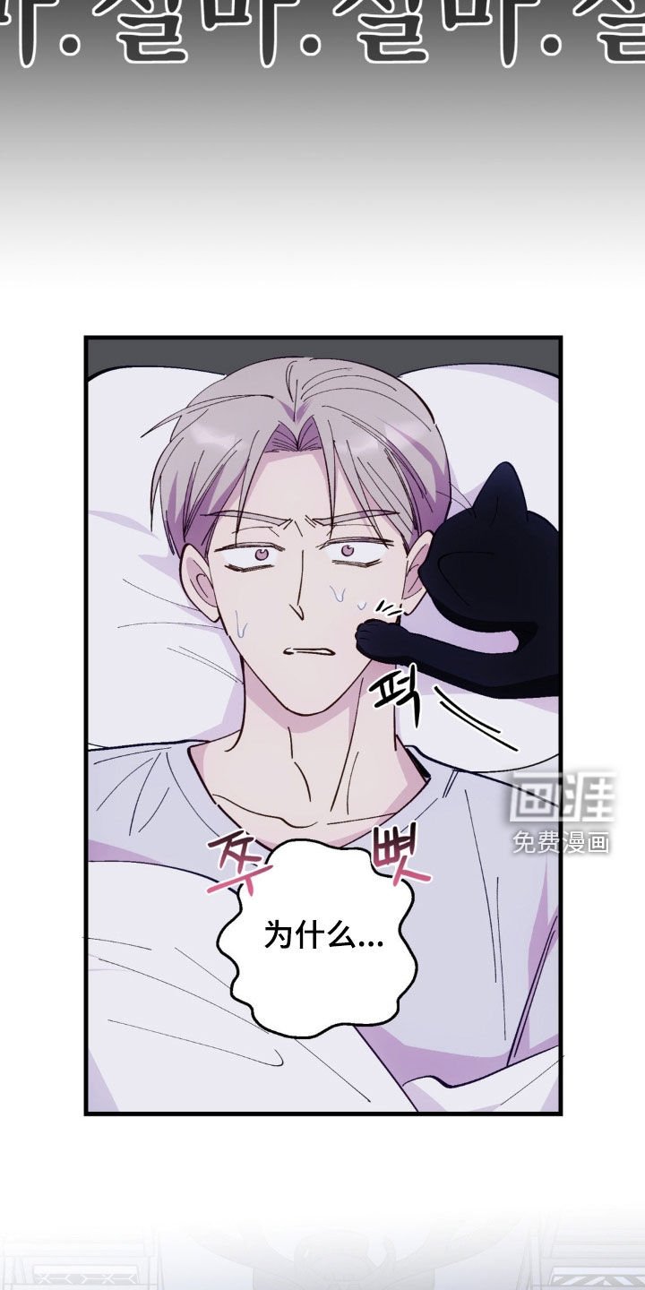 第80章：【第二季】需求