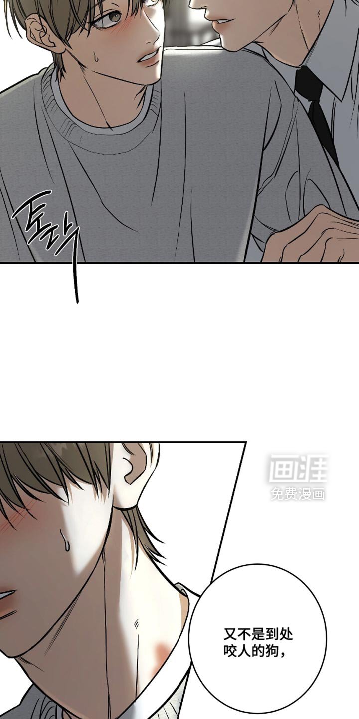 第51章：【第二季】你在想什么？