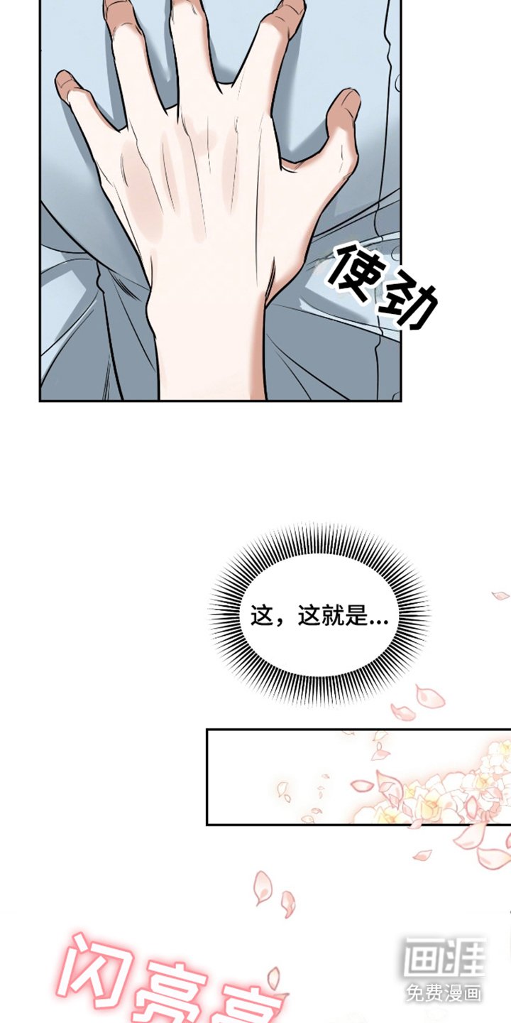第8章：理想型