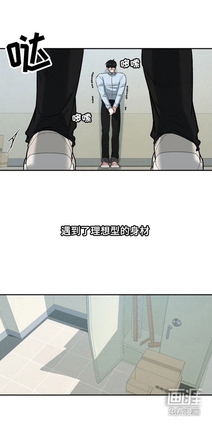 第8章：理想型