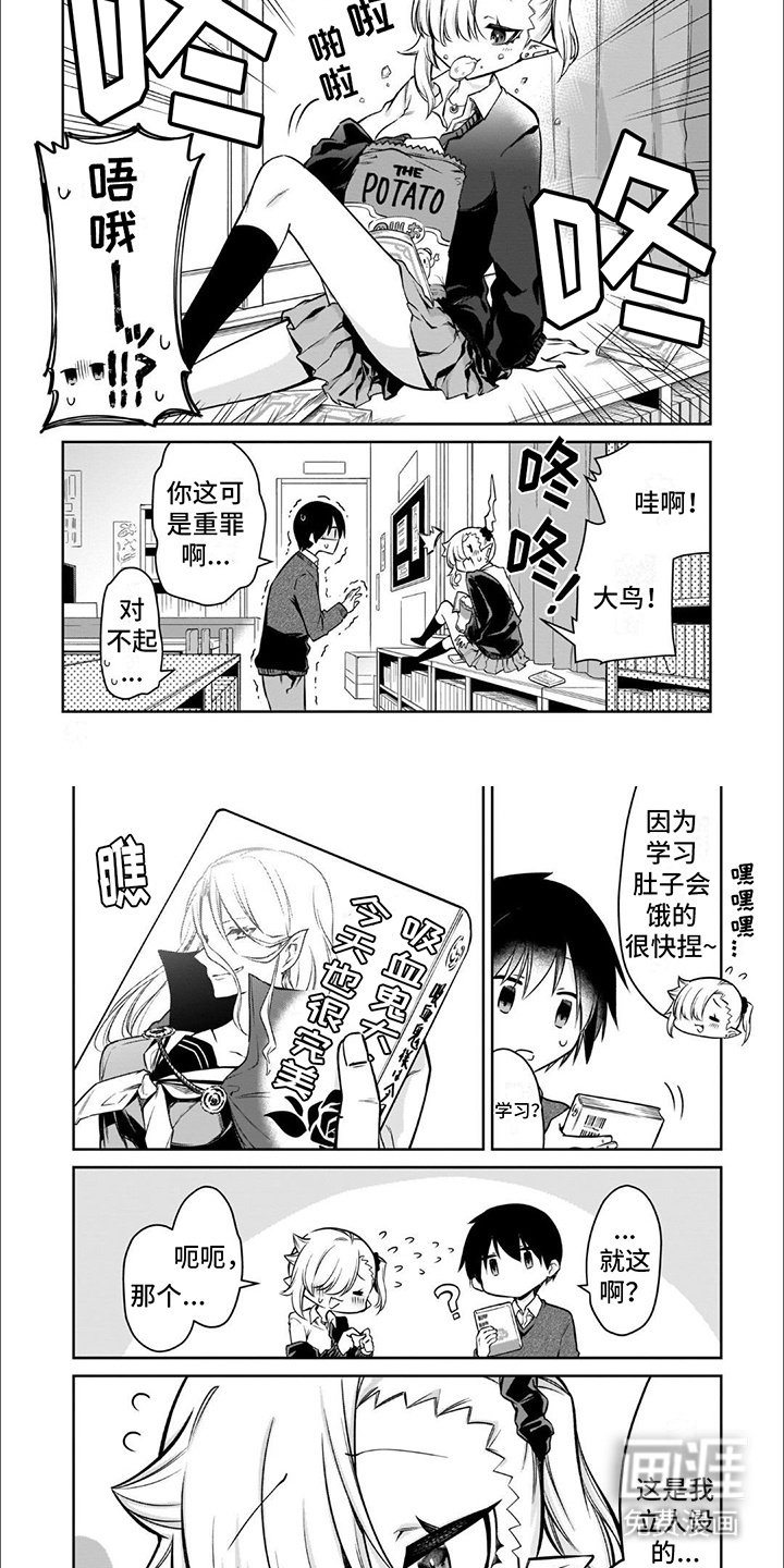 第6章：人设