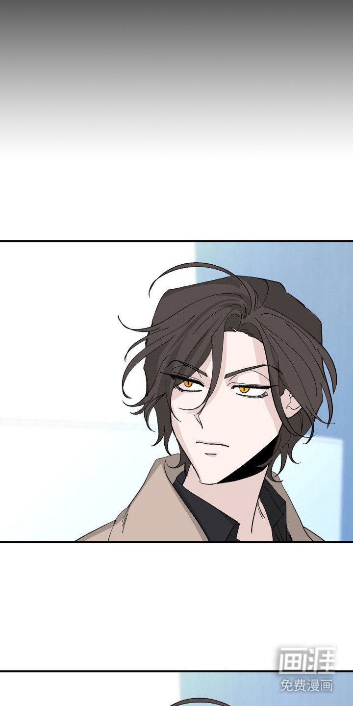 第12章：好奇