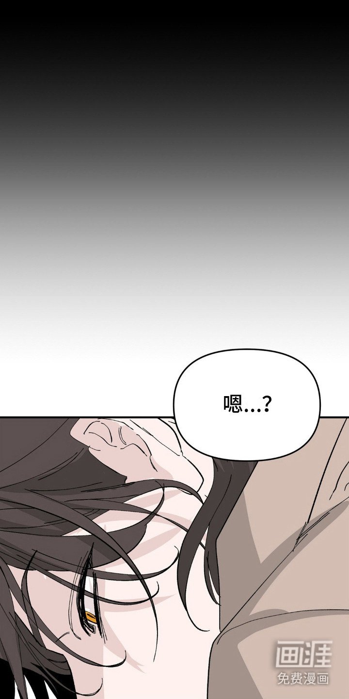第12章：好奇