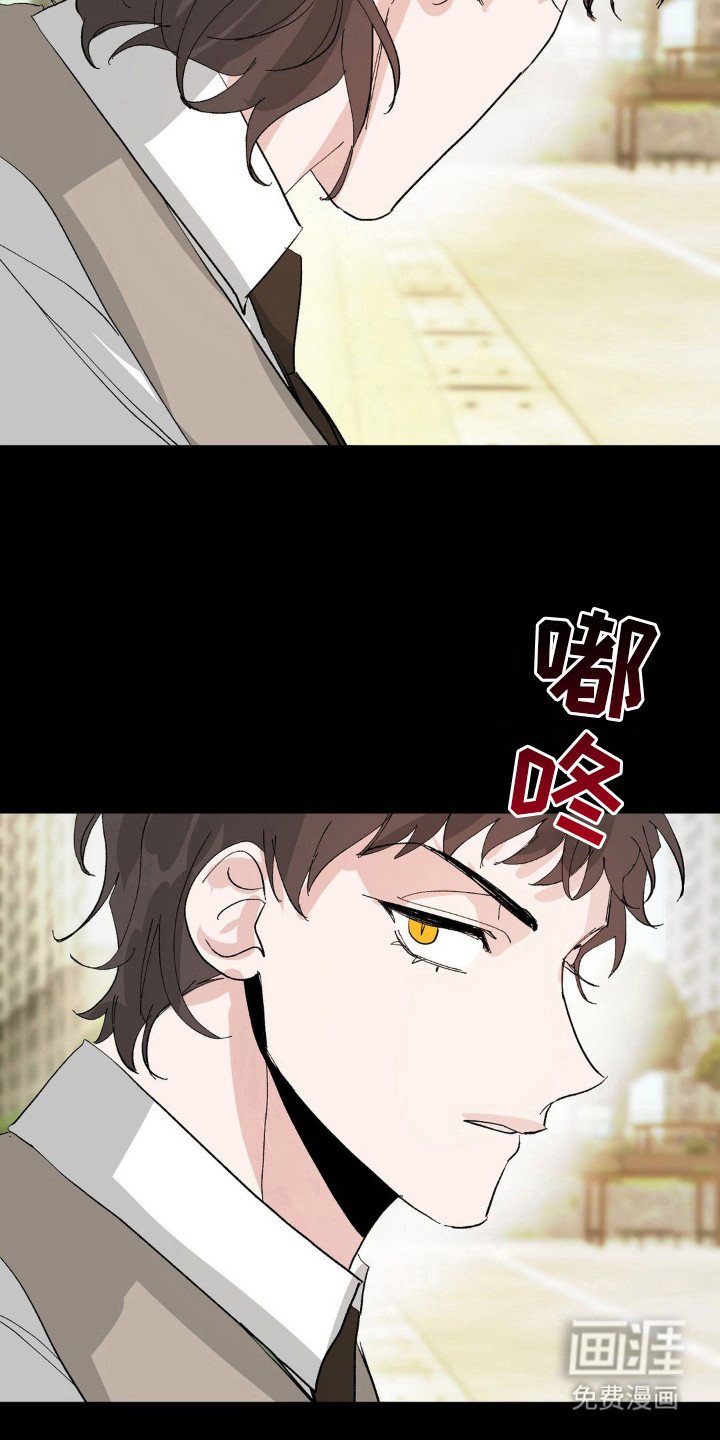 第6章：不是梦