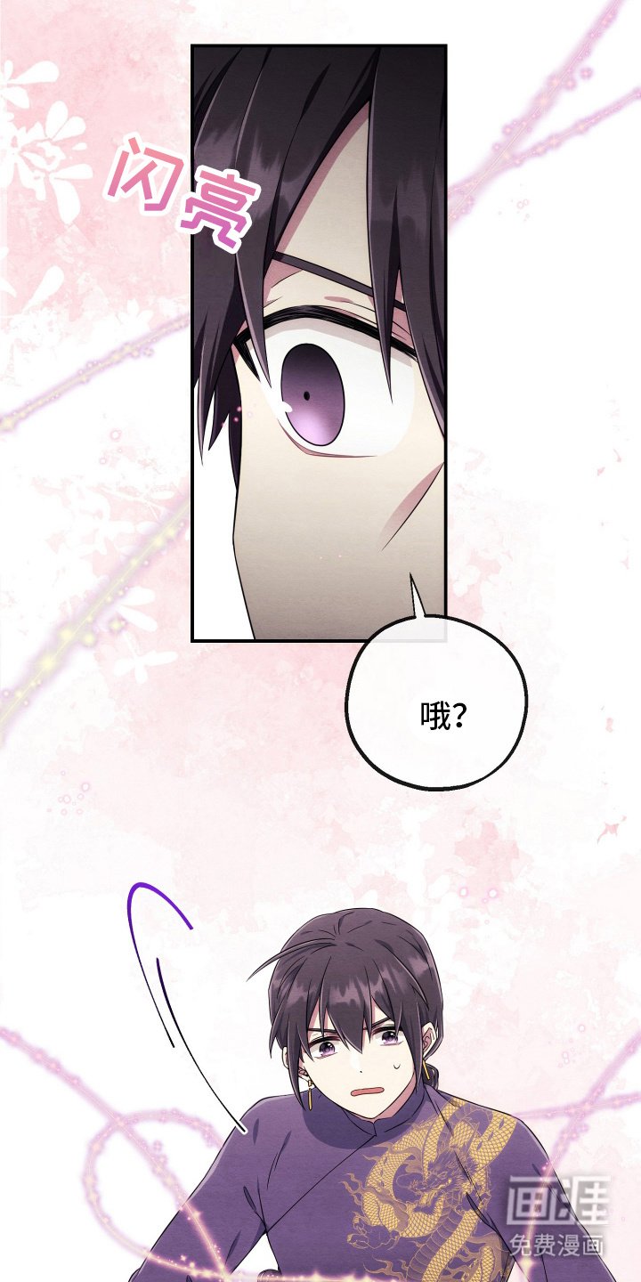 第11章：技能效果