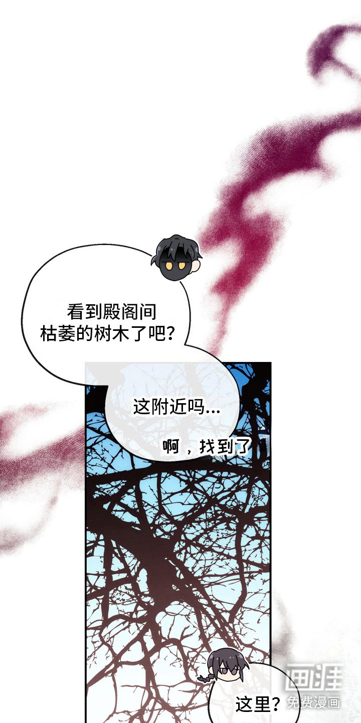 第13章：再次组队