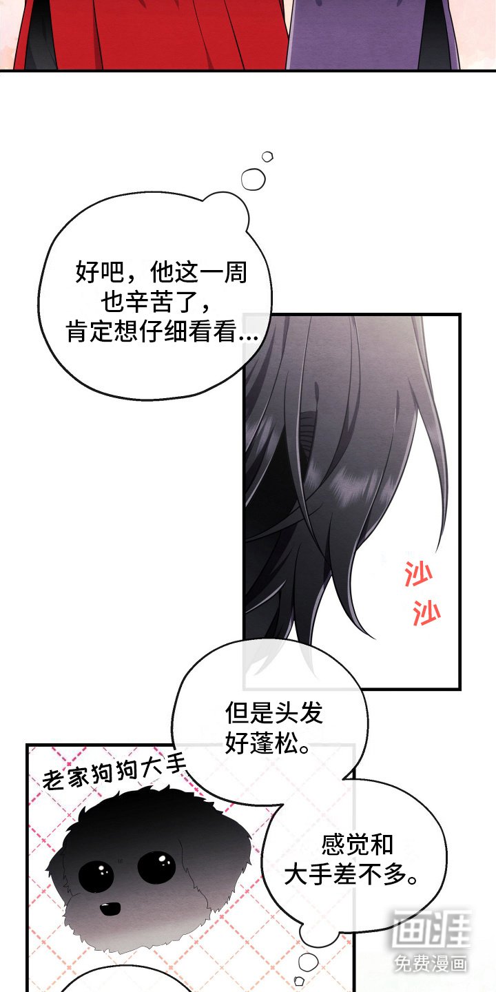 第14章：采集成功