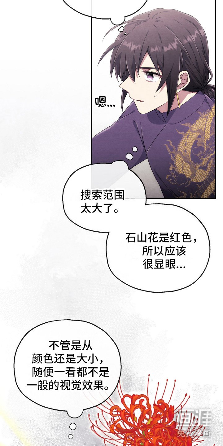第9章：石山花