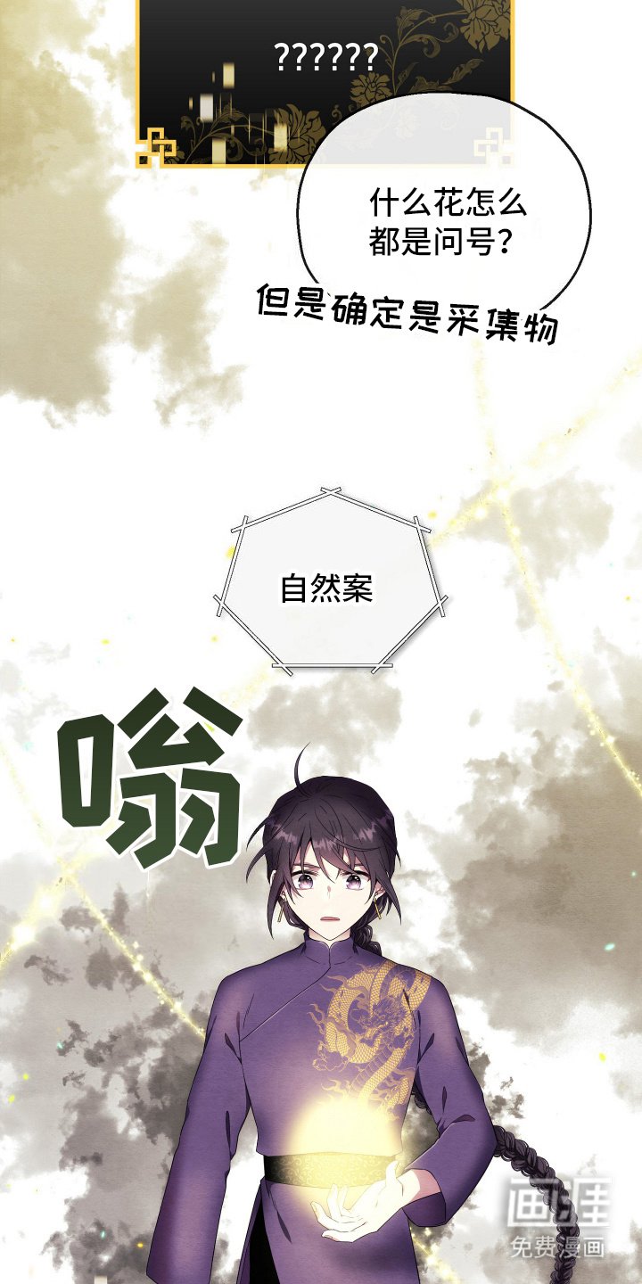 第9章：石山花