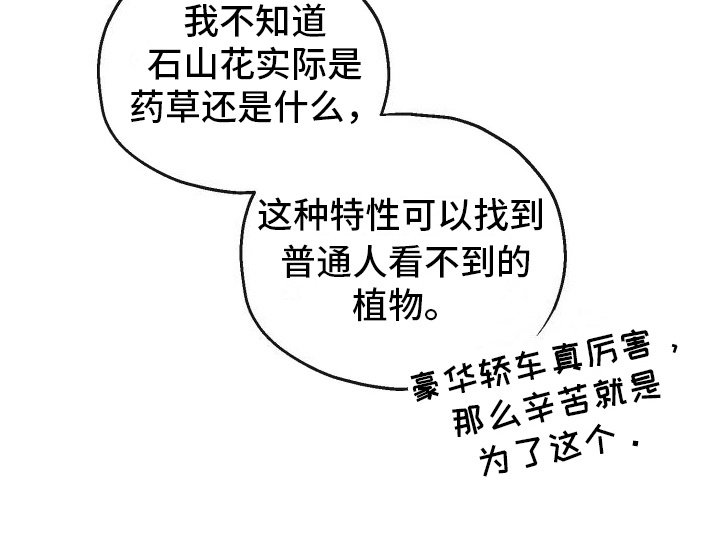 第9章：石山花