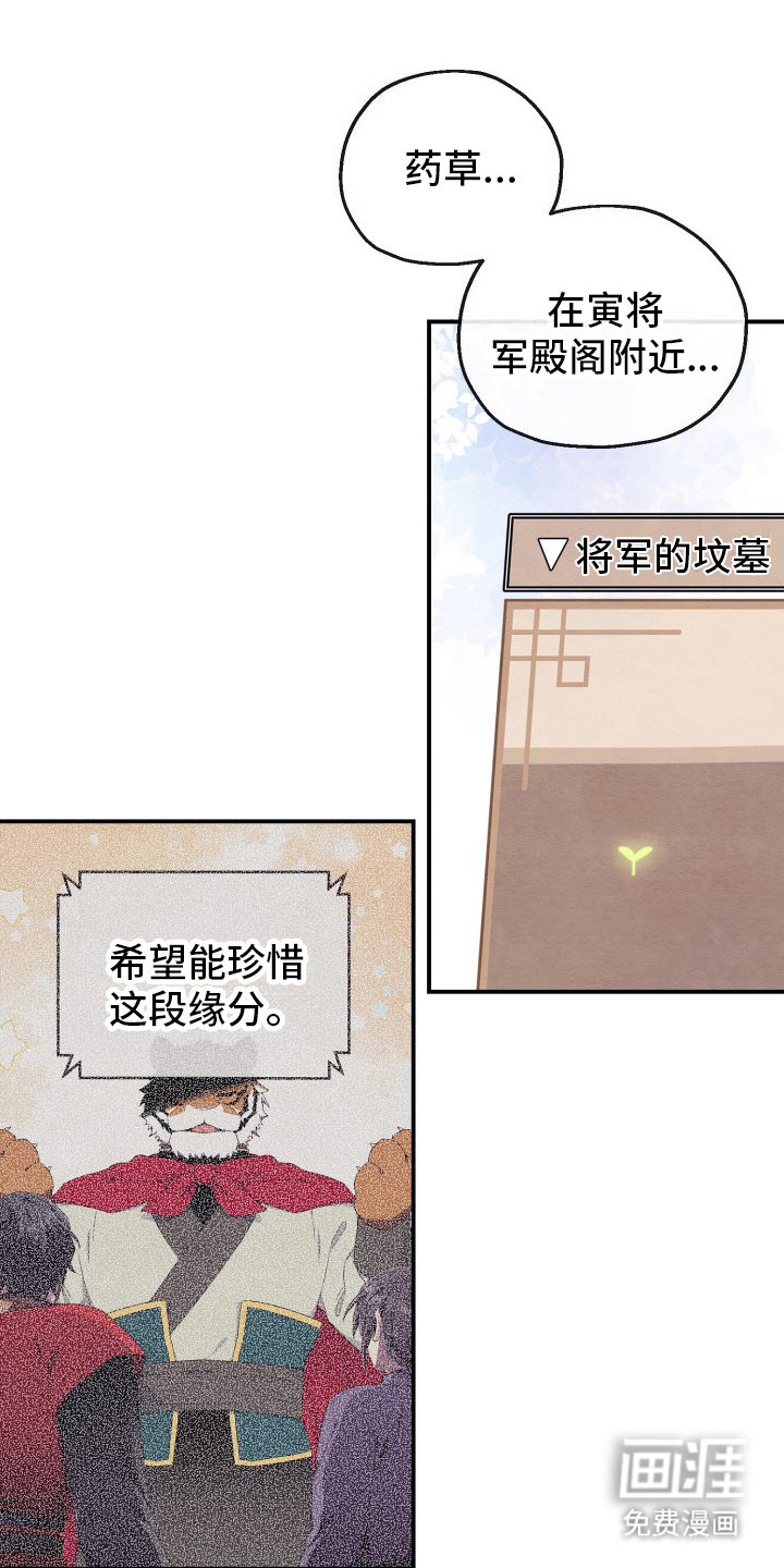 第9章：石山花