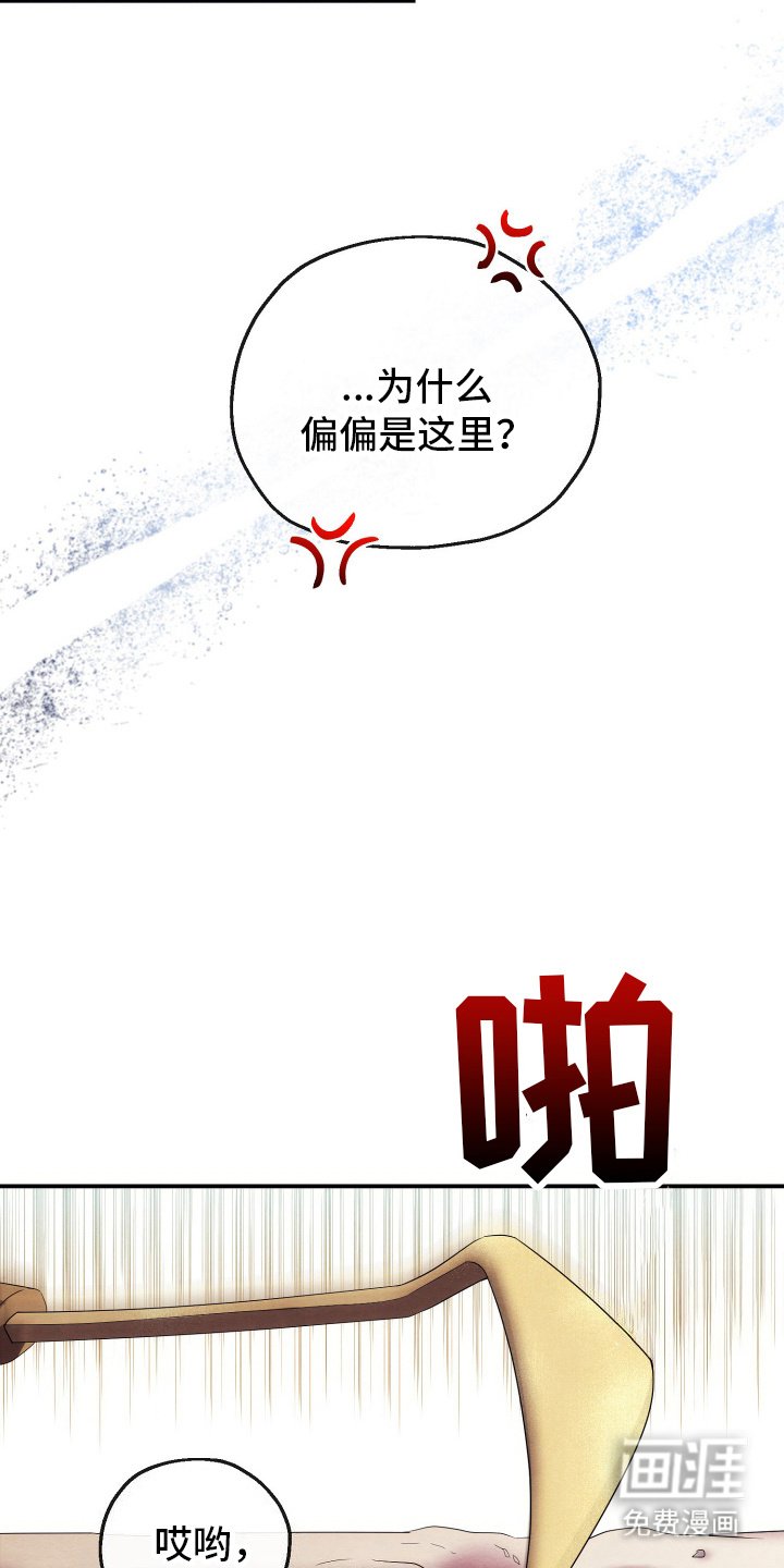 第9章：石山花