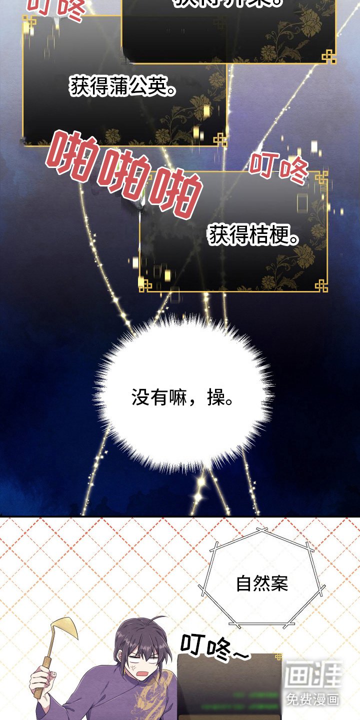 第9章：石山花