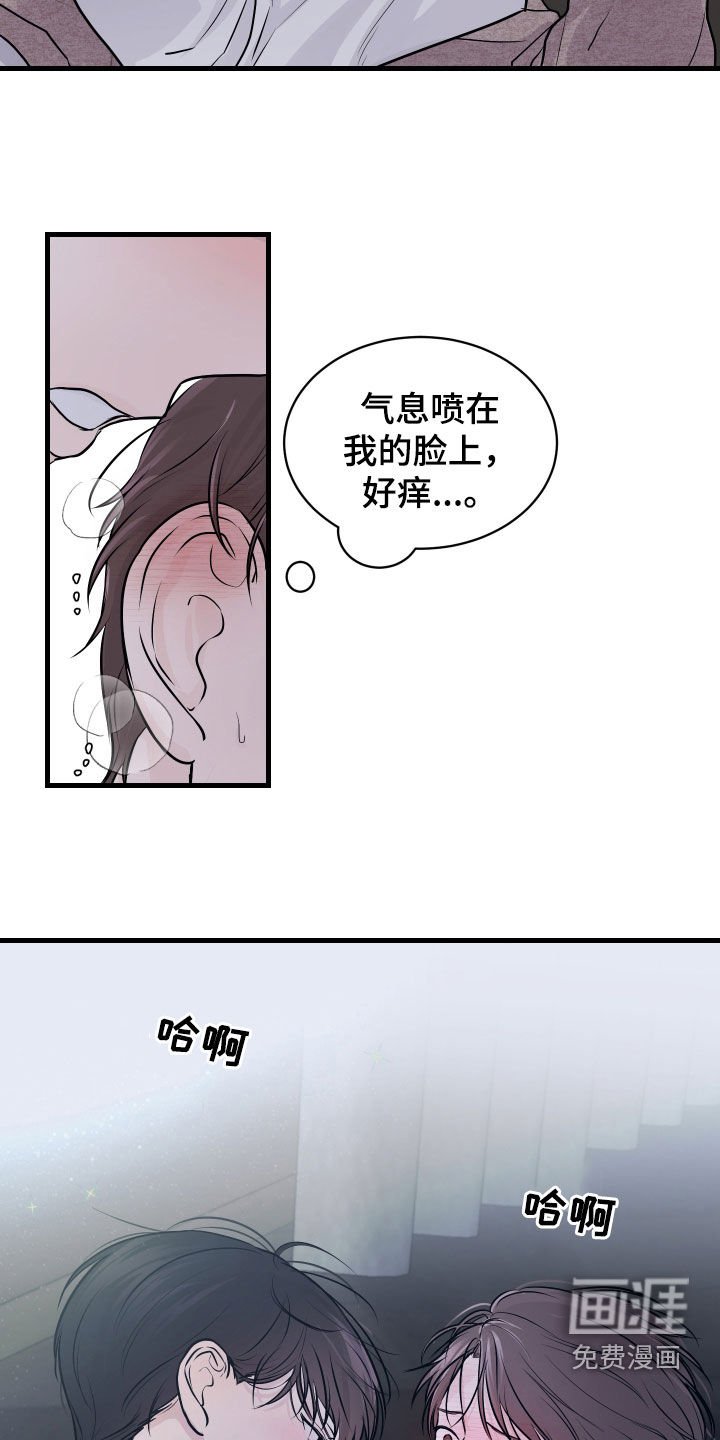 第15章：咖啡节