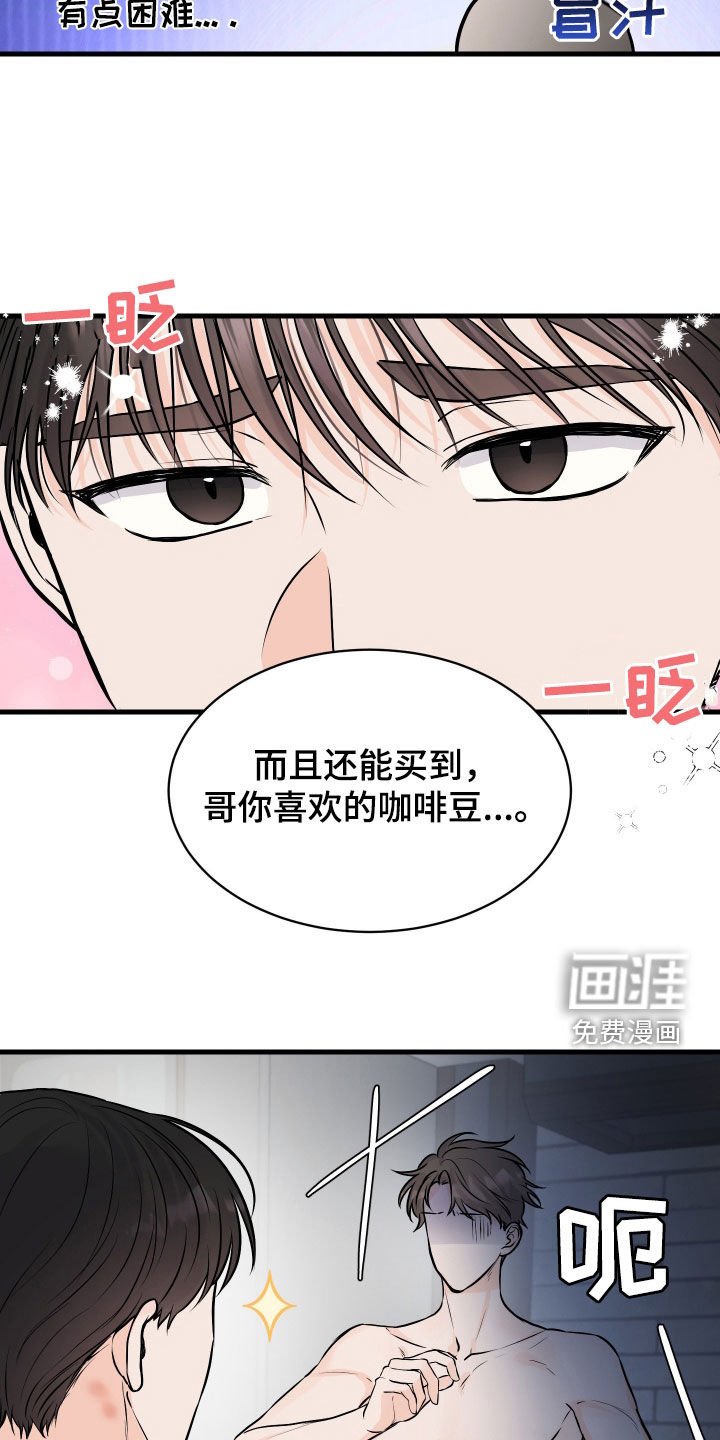 第15章：咖啡节