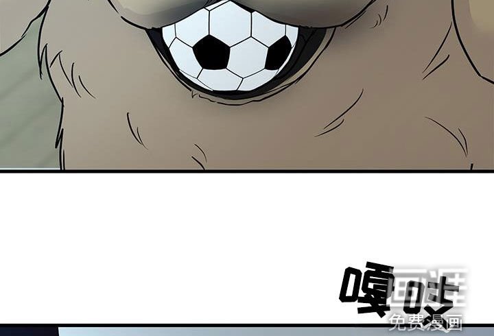 第34章：什么意思啊