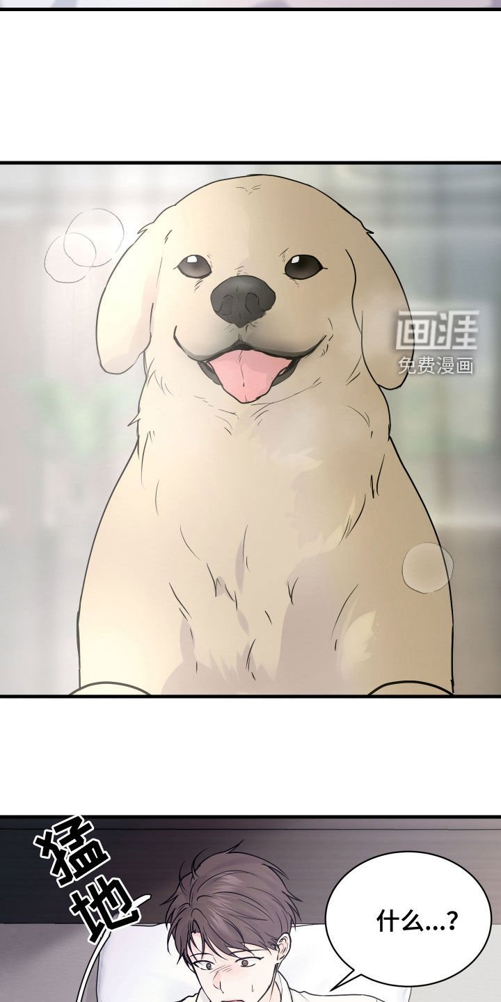 第35章：不是梦