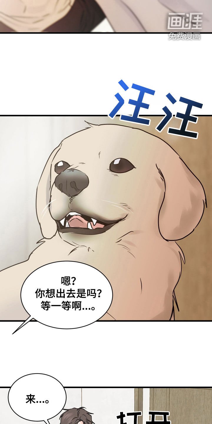 第35章：不是梦