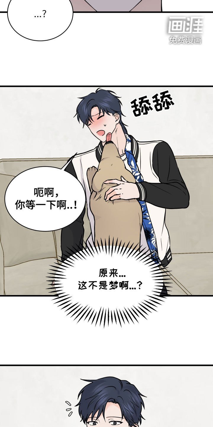 第35章：不是梦