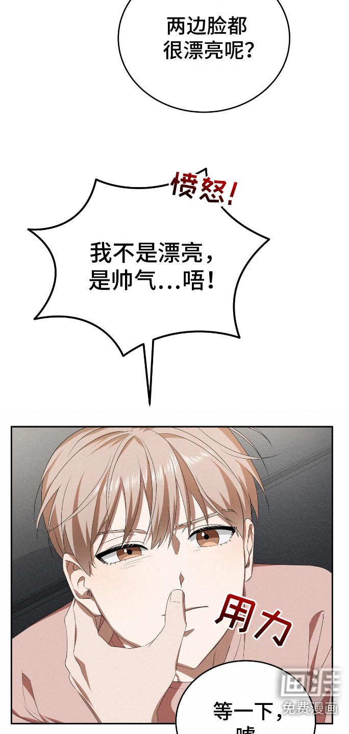 第12章：好看的脸蛋
