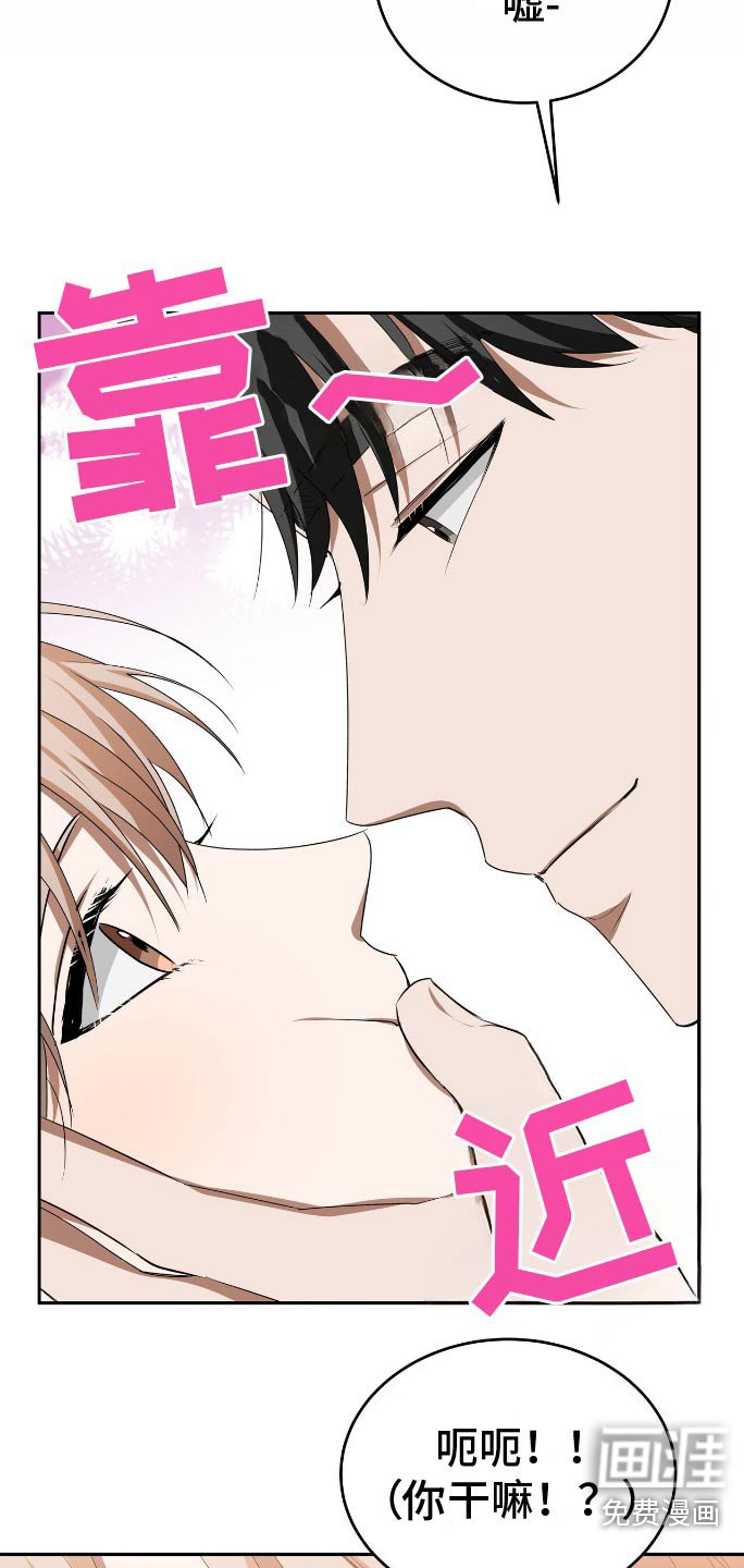 第12章：好看的脸蛋