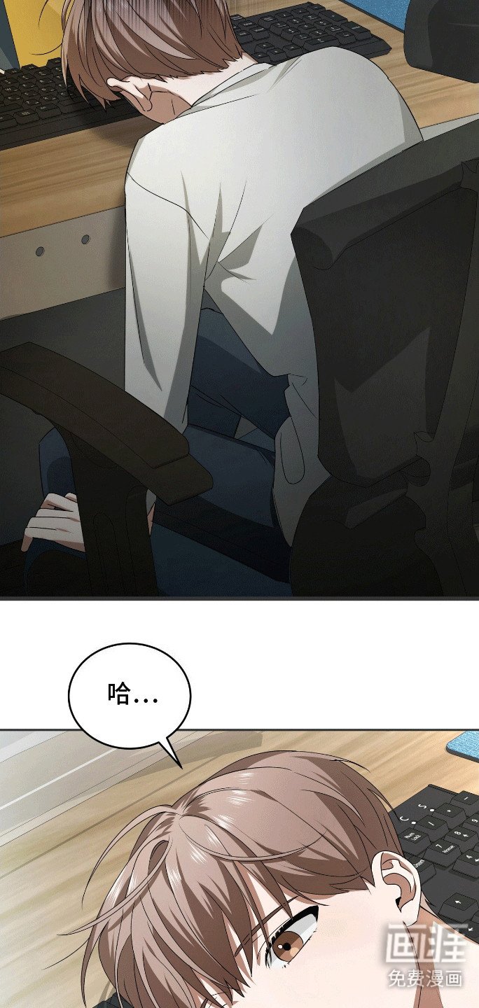 第2章：新的小说