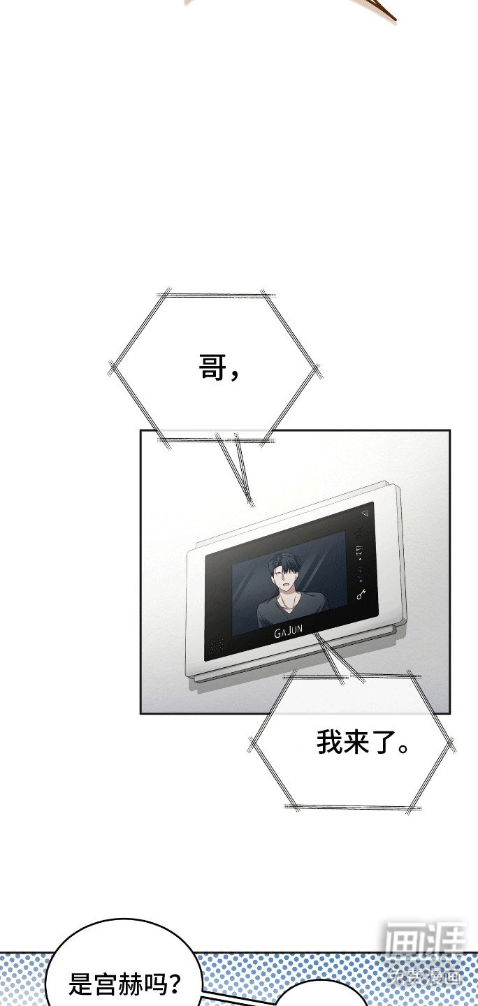 第2章：新的小说