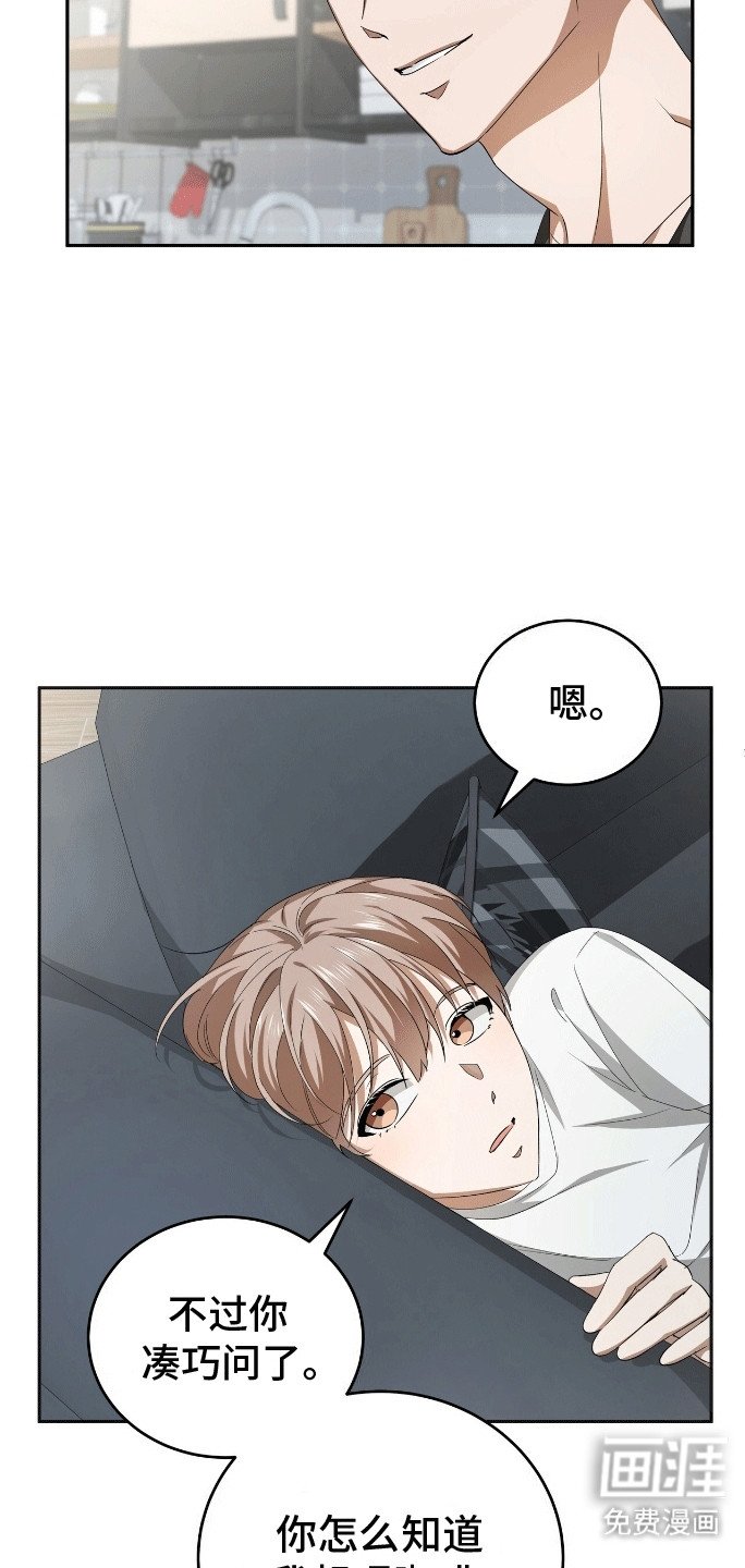 第5章：做我的男主角吧