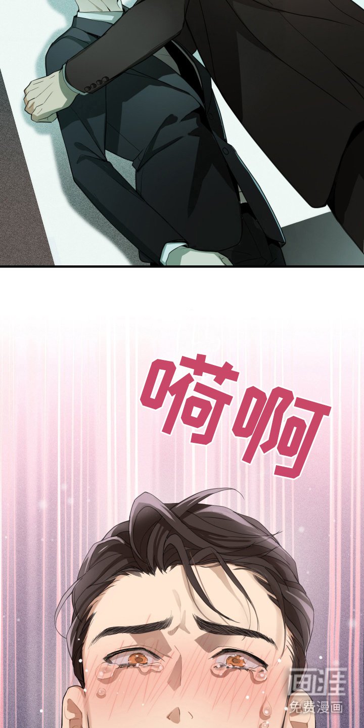 第11章：关心