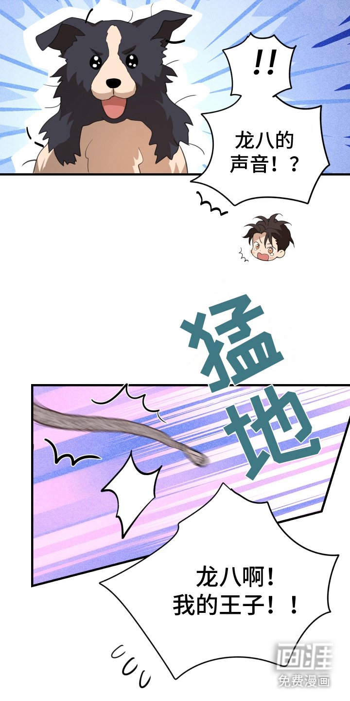 第13章：对不起