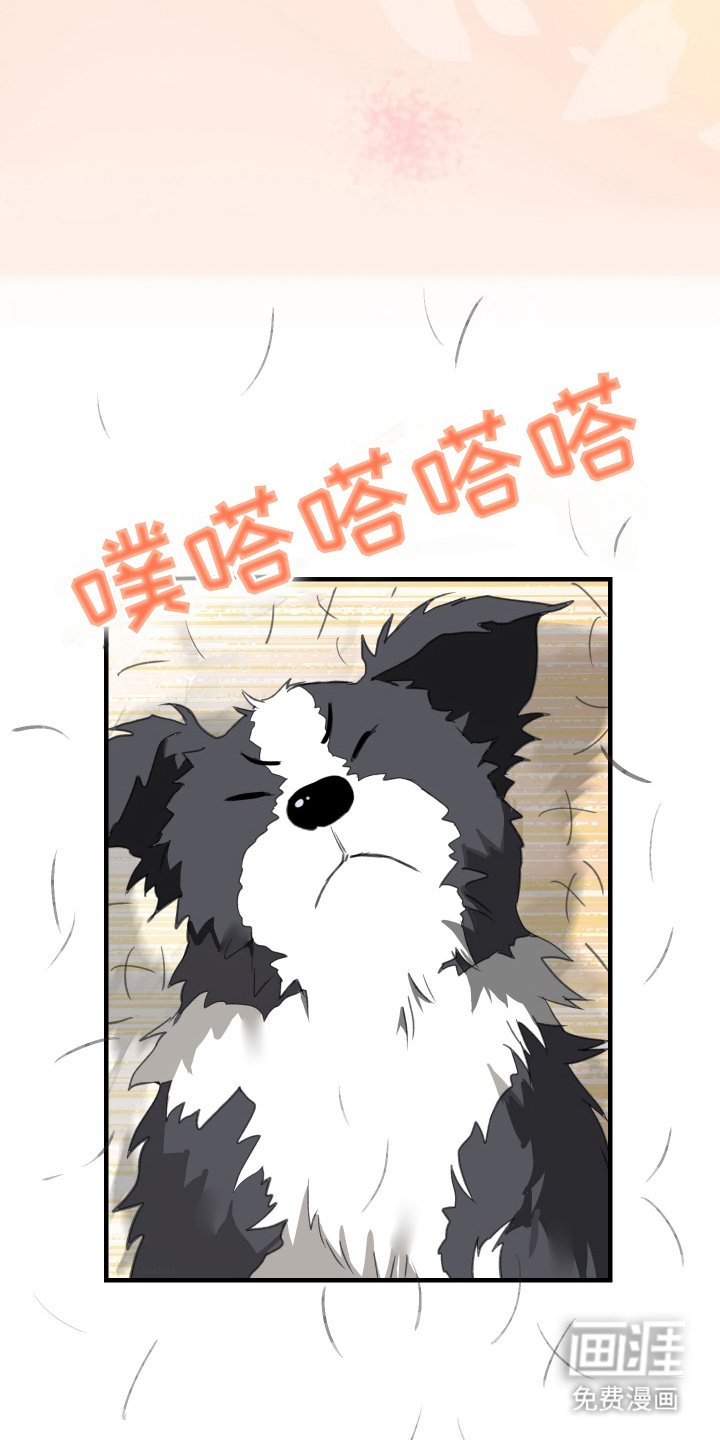 第15章：要一辈子