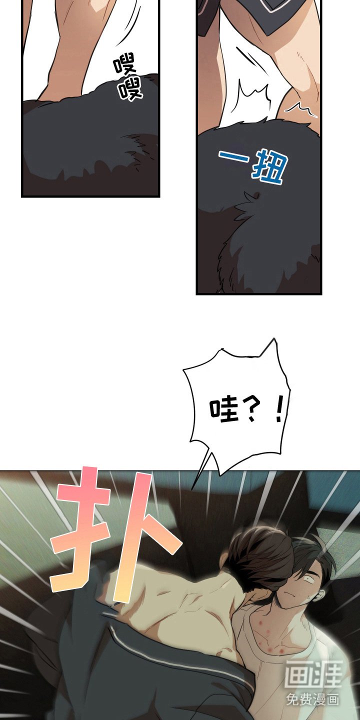 第6章：随心所欲