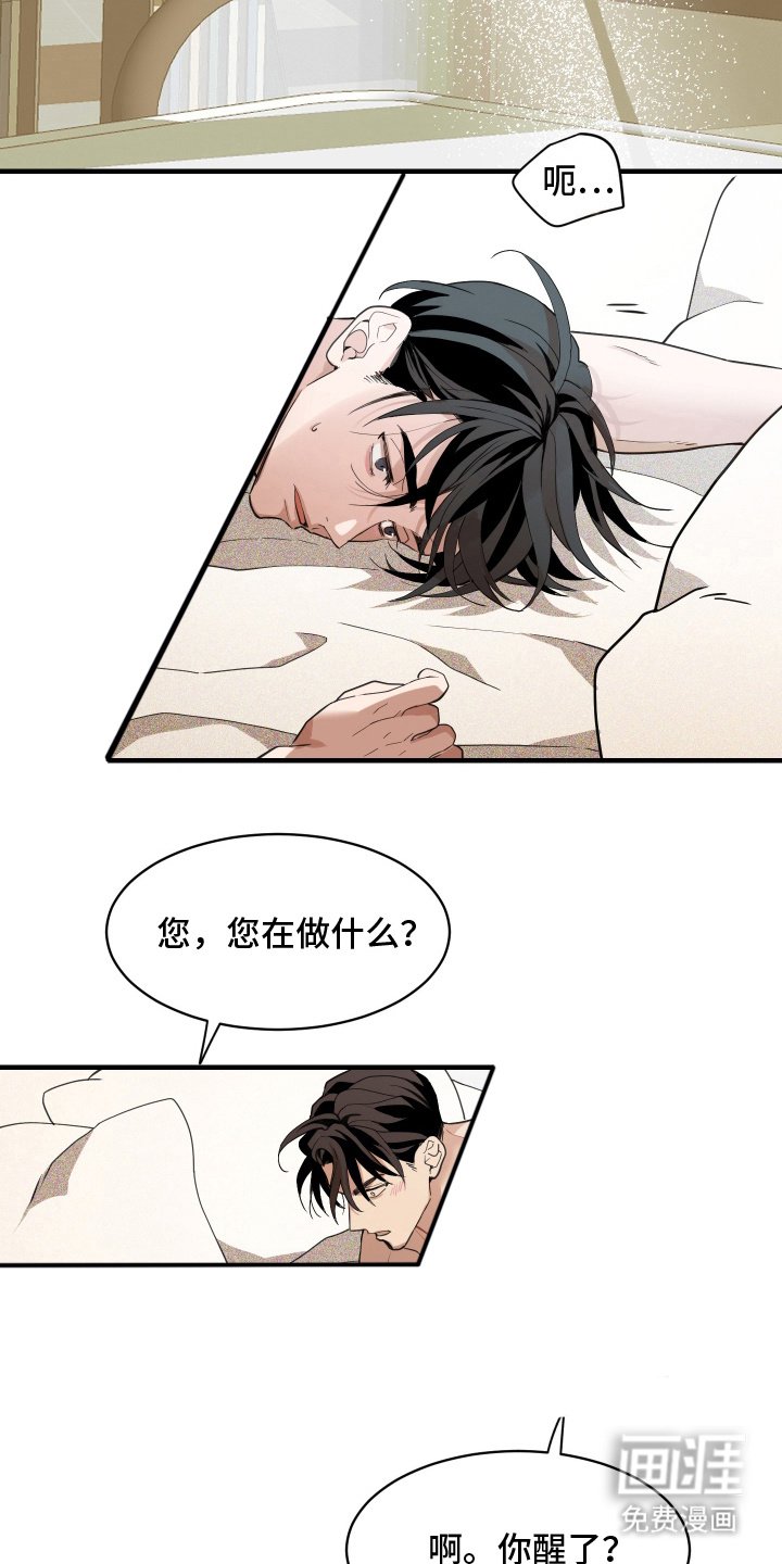 第6章：随心所欲