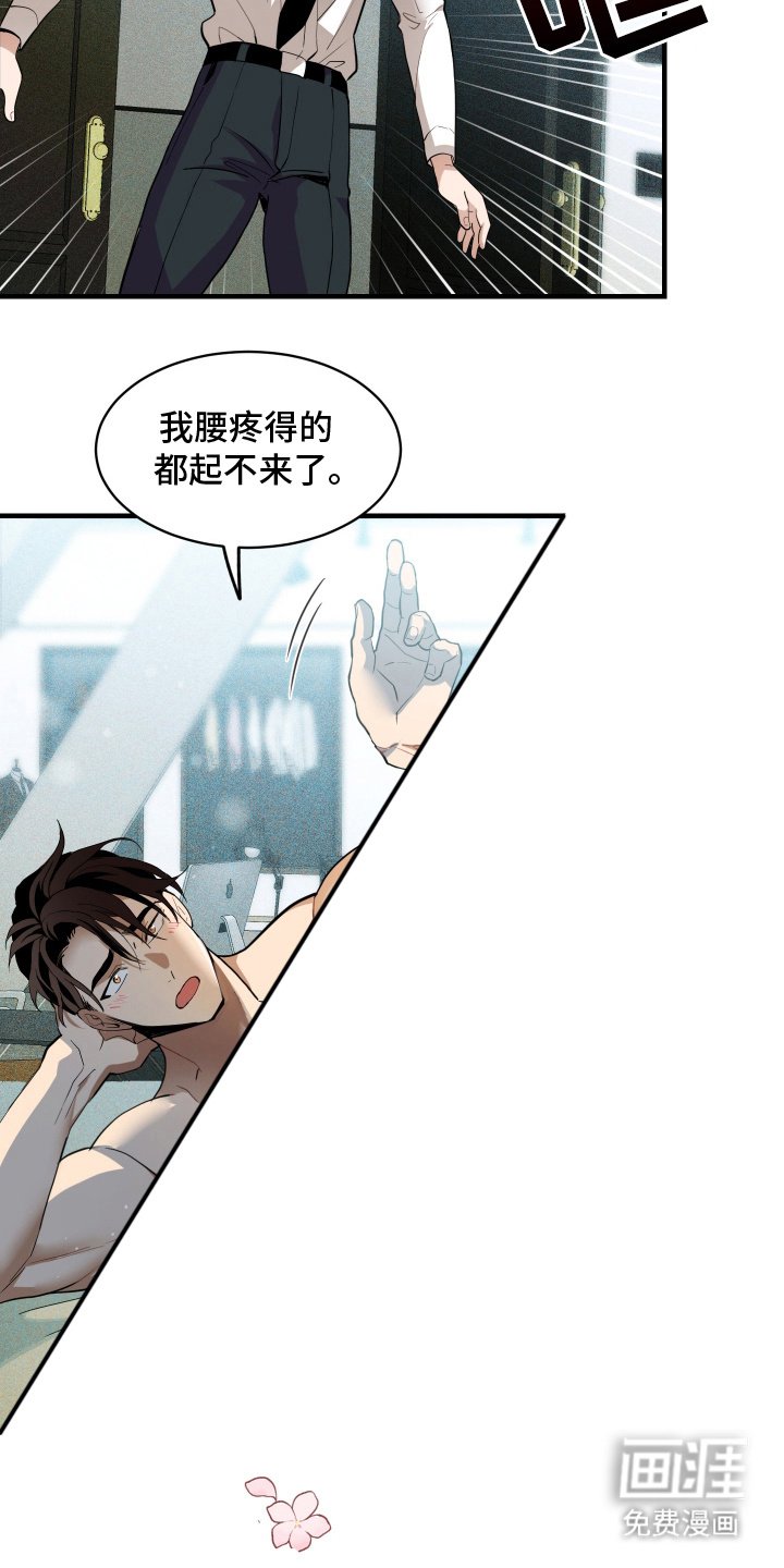 第6章：随心所欲