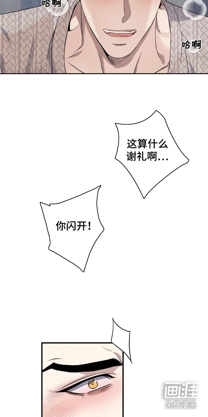 第11章：固执己见