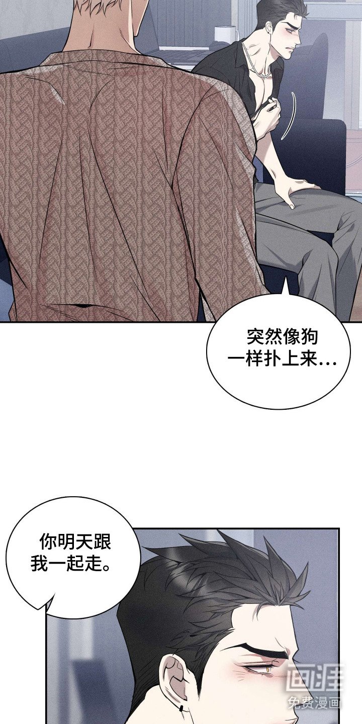 第11章：固执己见
