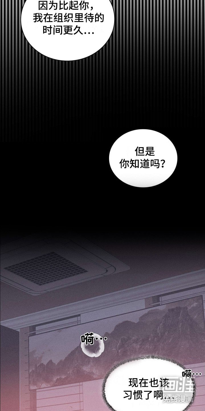 第11章：固执己见