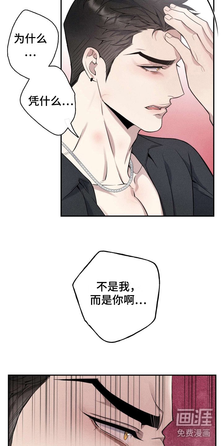 第11章：固执己见