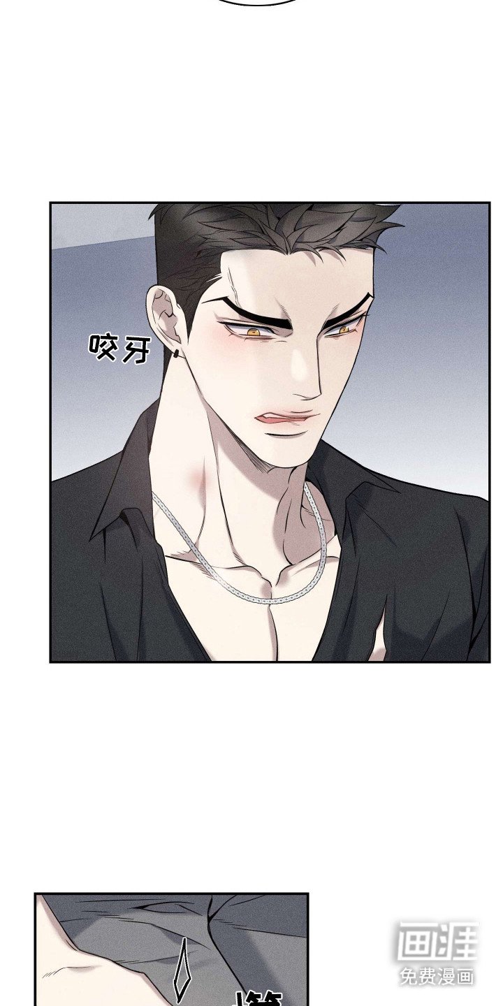 第13章：提议