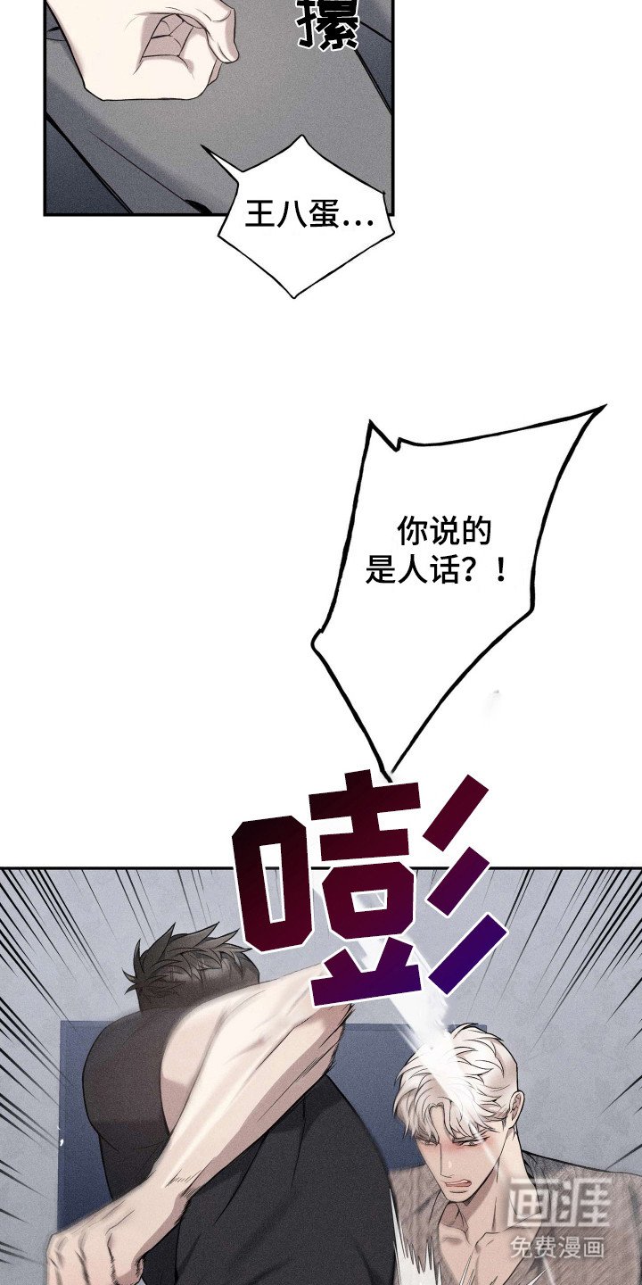 第13章：提议