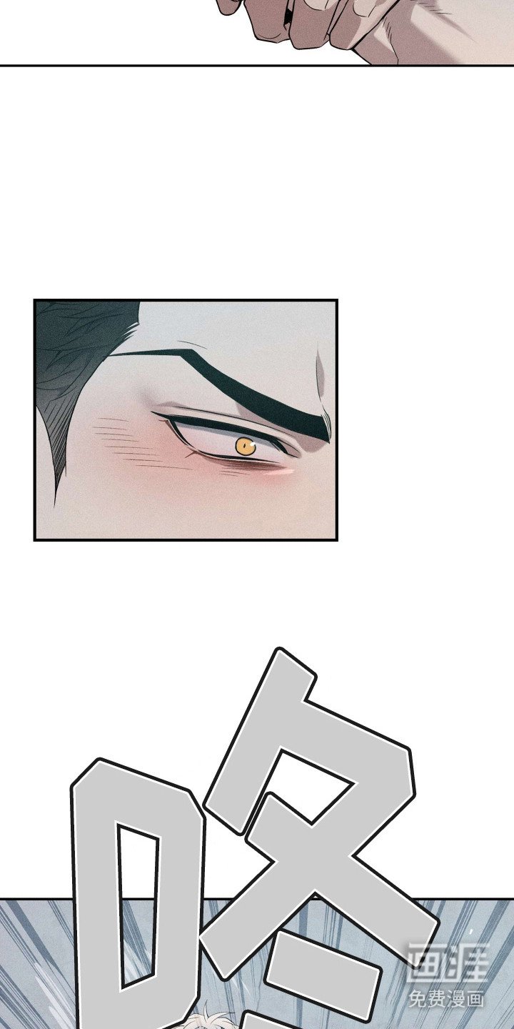 第14章：决一胜负
