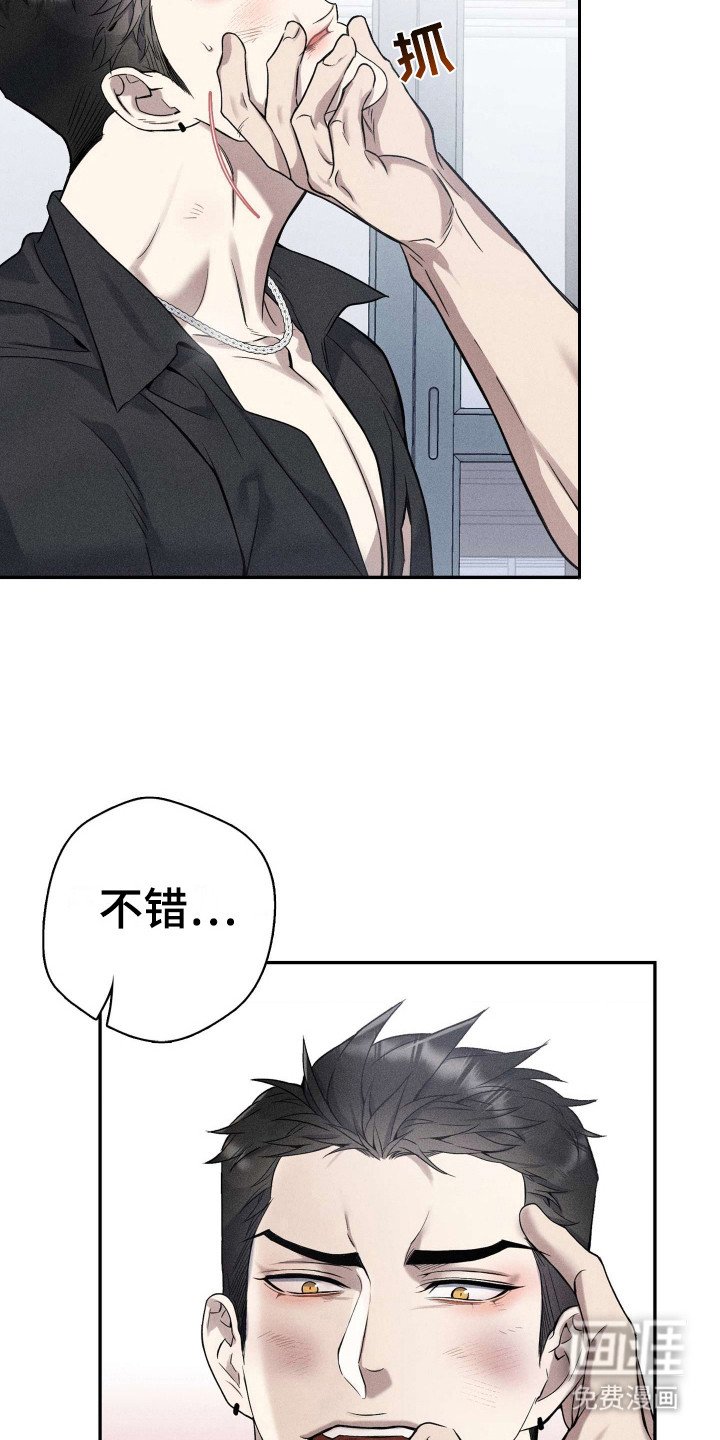 第15章：很可惜
