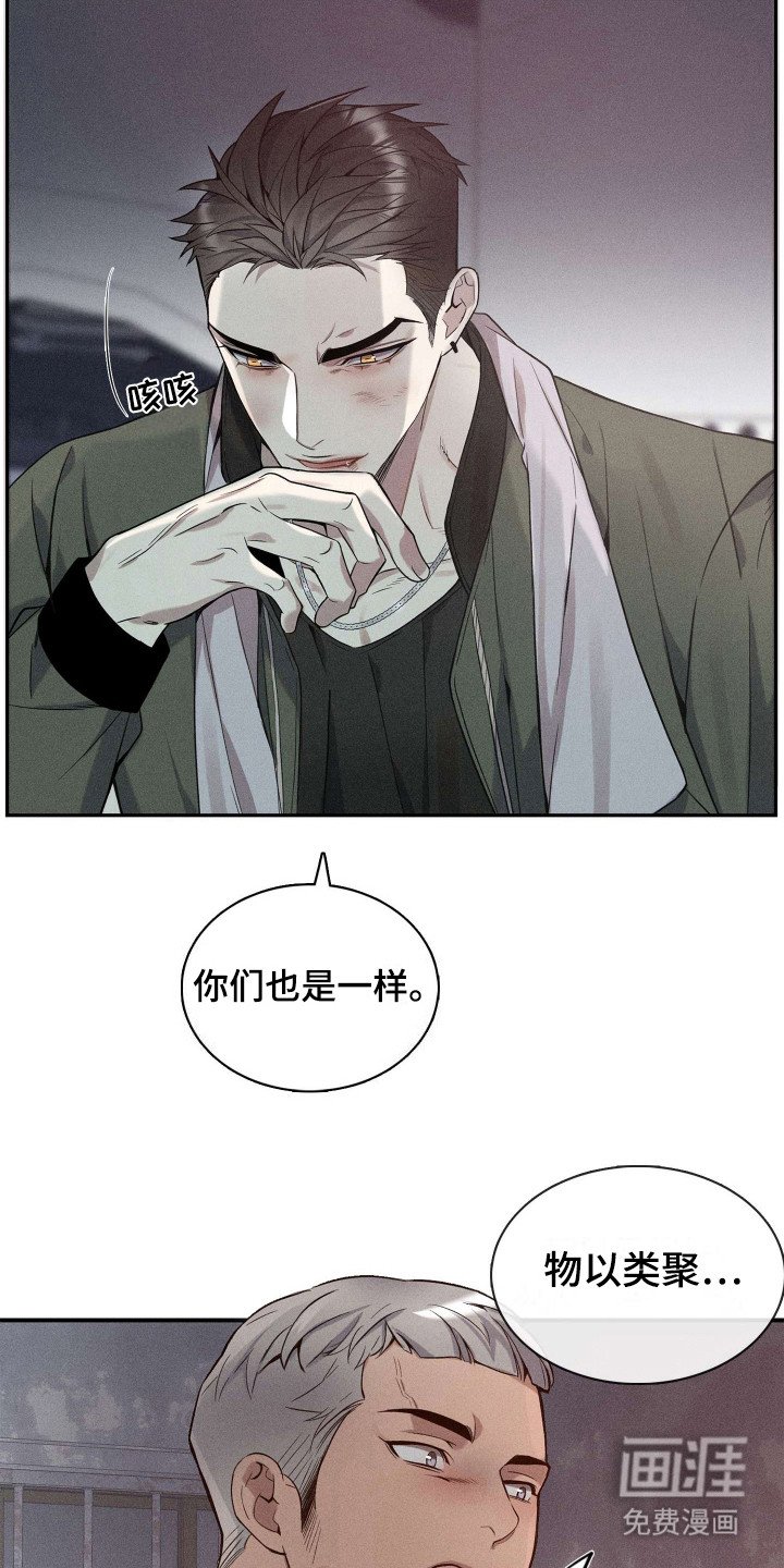 第3章：物以类聚